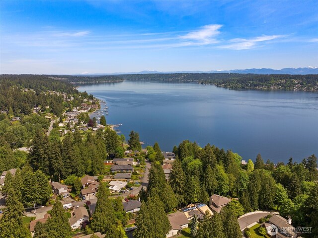 16939 SE 39th St, Bellevue, WA 98008 - view of property location featuring a water and mountain view, a heavily wooded area, and nearby suburban area