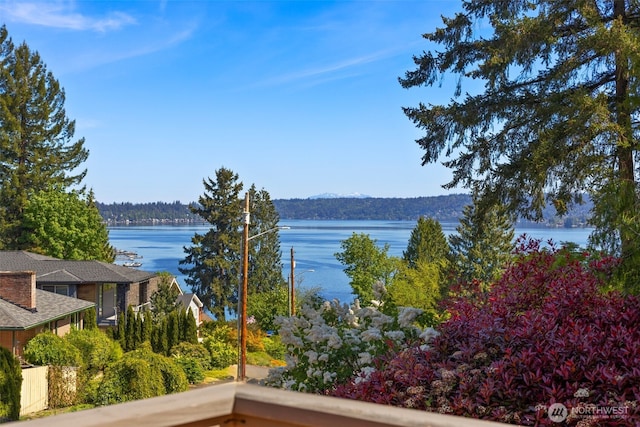 16939 SE 39th St, Bellevue, WA 98008 - water view