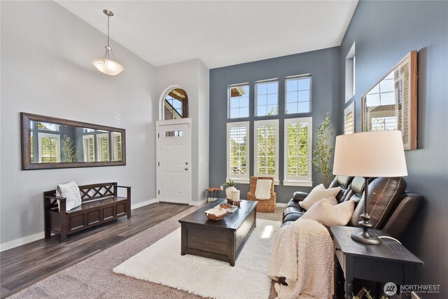 23804 17th Pl W, Bothell, WA 98021 - living area with a towering ceiling, baseboards, and wood finished floors