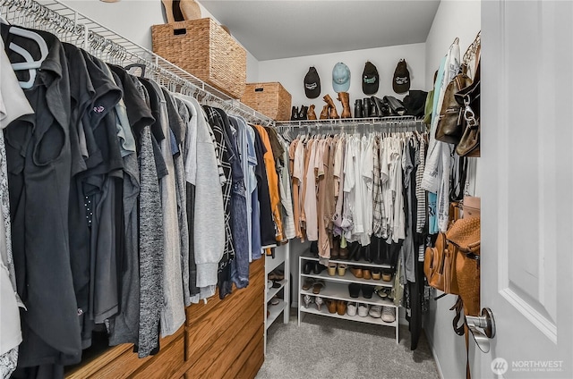 8354 22nd St NE, Lake Stevens, WA 98258 - walk in closet with carpet