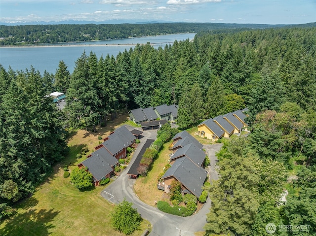 12812 62nd St Unit C-3, Gig Harbor, WA 98332 - aerial overview of property's location with a heavily wooded area, a large body of water, and nearby suburban area