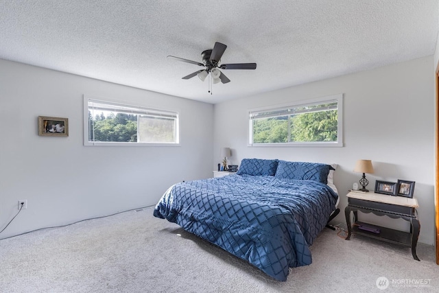 841 Hazel Dell Rd, Castle Rock, WA 98611 - photo 15