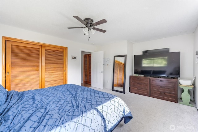 841 Hazel Dell Rd, Castle Rock, WA 98611 - photo 16