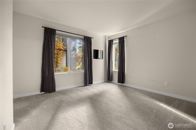 508 237th St SE Unit E, Bothell, WA 98021 - photo 31