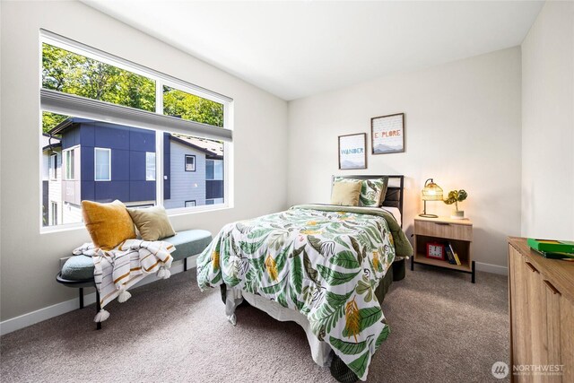 508 237th St SE Unit E, Bothell, WA 98021 - photo 26