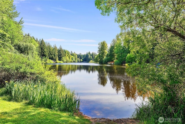 7549 Siskin Dr SE, Olympia, WA 98513 - water view with a forest