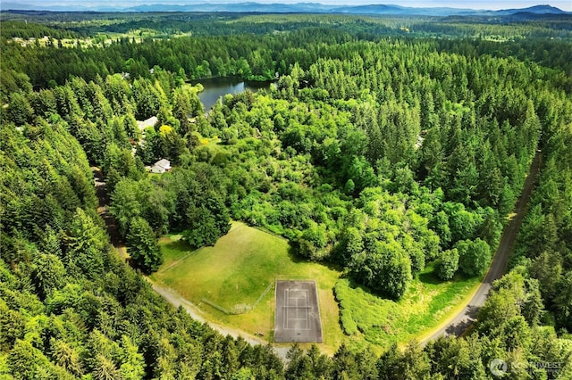 7549 Siskin Dr SE, Olympia, WA 98513 - aerial view of a forest and a water and mountain view