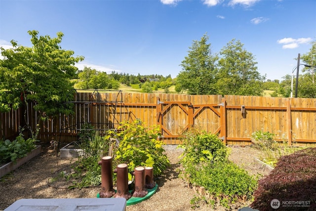 5695 Meadow View Dr, Ferndale, WA 98248 - fenced backyard featuring a garden