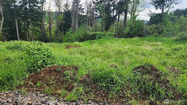 0 Madison Dr, Mossyrock, WA 98564 - photo 4