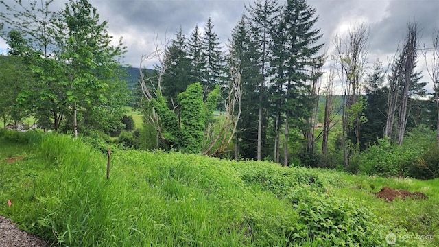 0 Madison Dr, Mossyrock, WA 98564 - photo 7