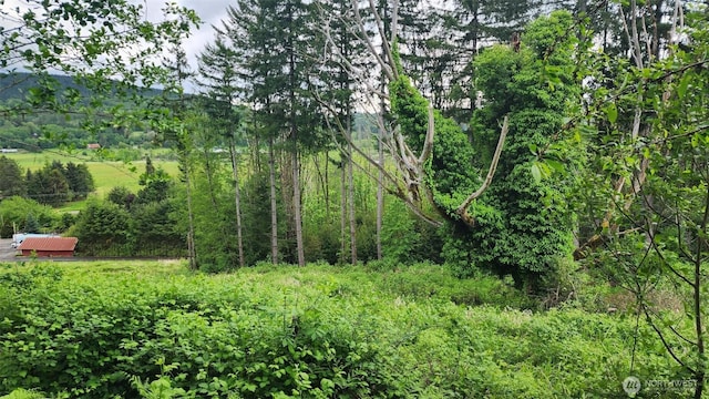 0 Madison Dr, Mossyrock, WA 98564 - photo 8