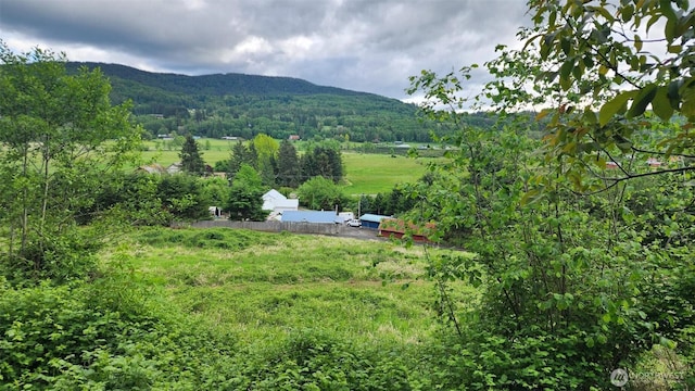 0 Madison Dr, Mossyrock, WA 98564 - photo 9