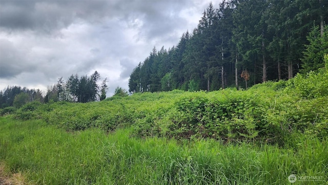0 Madison Dr, Mossyrock, WA 98564 - photo 11