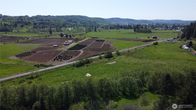 0 Madison Dr, Mossyrock, WA 98564 - photo 14