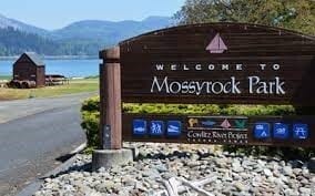 0 Madison Dr, Mossyrock, WA 98564 - photo 17