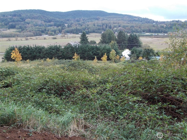 0 Madison Dr, Mossyrock, WA 98564 - photo 2