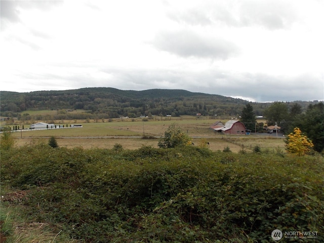 0 Madison Dr, Mossyrock, WA 98564 - photo 3