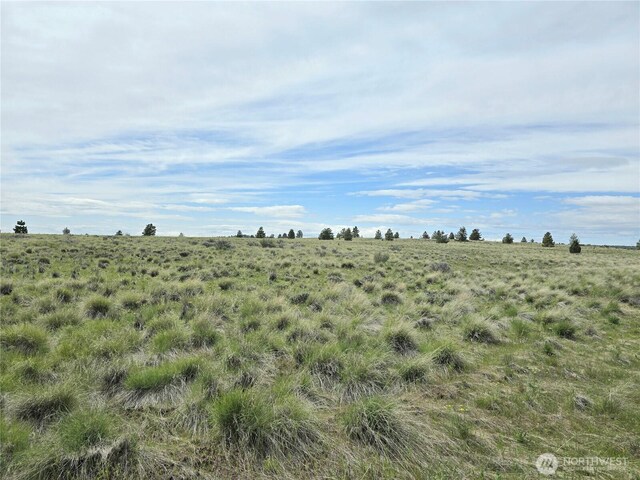 180 Middle Rd, Bickleton, WA 99322