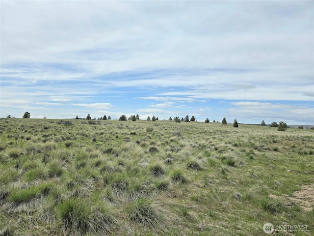 180 Middle Rd, Bickleton, WA 99322