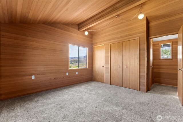 87 Vintin Rd, Carlton, WA 98814 - unfurnished bedroom featuring multiple closets, wooden walls, carpet floors, and wooden ceiling