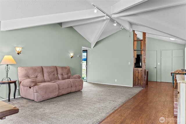 87 Vintin Rd, Carlton, WA 98814 - living area with track lighting, wood finished floors, and a textured ceiling