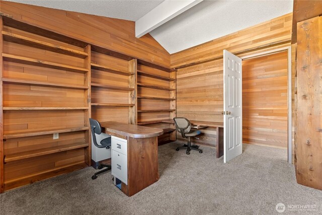 87 Vintin Rd, Carlton, WA 98814 - carpeted home office featuring wood walls and built in study area
