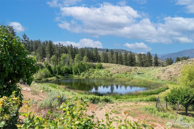 87 Vintin Rd, Carlton, WA 98814 - water view featuring a forest and a mountainous background