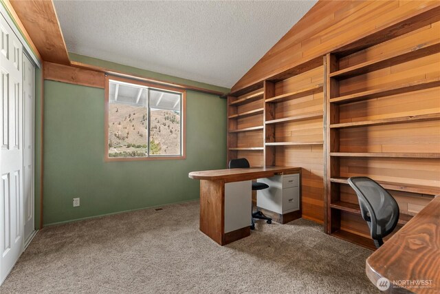 87 Vintin Rd, Carlton, WA 98814 - unfurnished office featuring lofted ceiling, dark colored carpet, a textured ceiling, and wood walls