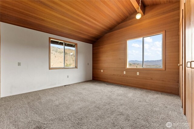 87 Vintin Rd, Carlton, WA 98814 - spare room with wood walls, wood ceiling, and carpet