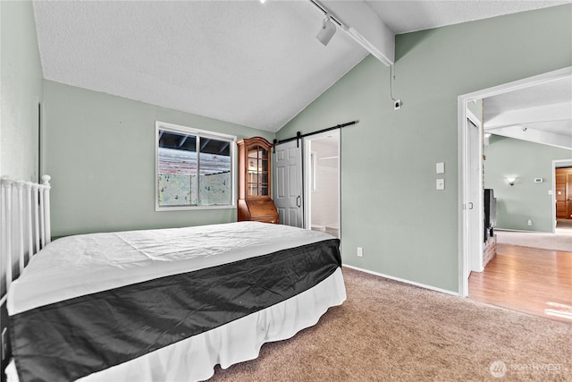 87 Vintin Rd, Carlton, WA 98814 - bedroom featuring rail lighting, carpet flooring, a barn door, baseboards, and a textured ceiling