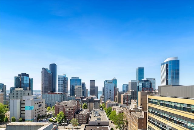 1105 Spring St Unit 712, Seattle, WA 98104 - view of city skyline