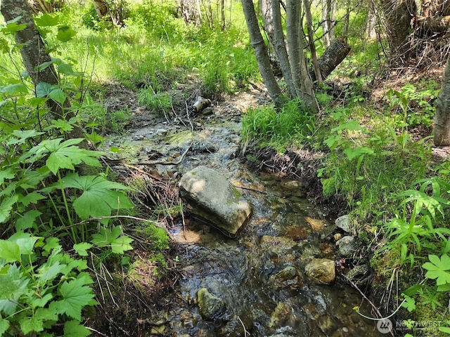 0 Wild Turkey Ln, Riverside, WA 98849
