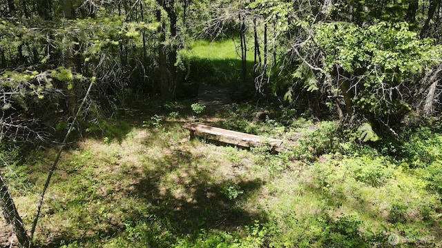 0 Wild Turkey Ln, Riverside, WA 98849