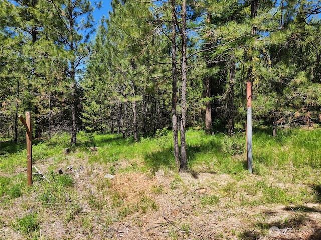 0 Wild Turkey Ln, Riverside, WA 98849