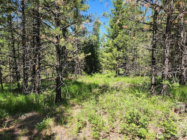 0 Wild Turkey Ln, Riverside, WA 98849