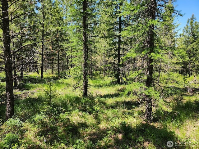0 Wild Turkey Ln, Riverside, WA 98849