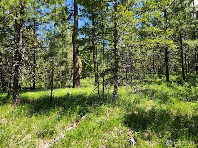 0 Wild Turkey Ln, Riverside, WA 98849