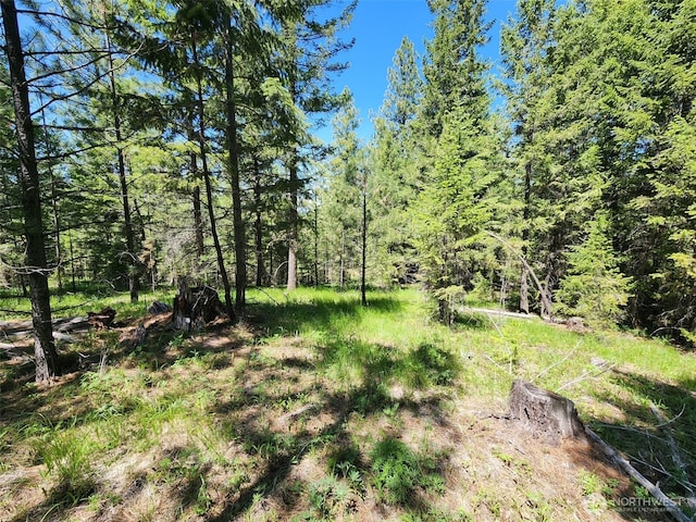 0 Wild Turkey Ln, Riverside, WA 98849
