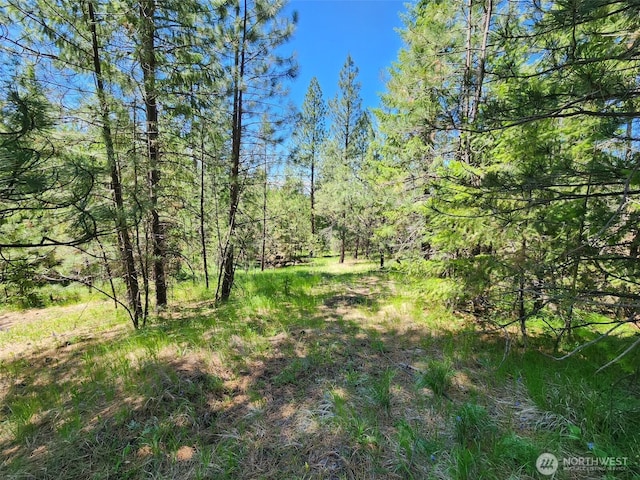 0 Wild Turkey Ln, Riverside, WA 98849