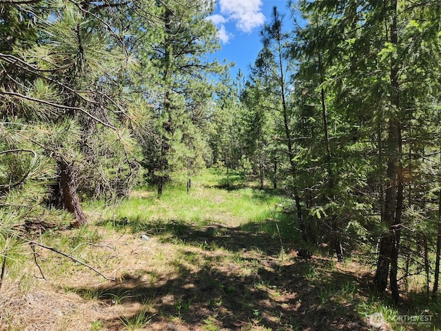0 Wild Turkey Ln, Riverside, WA 98849