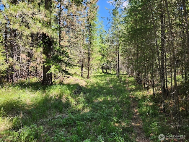 0 Wild Turkey Ln, Riverside, WA 98849