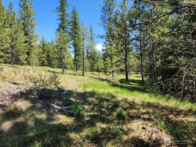 0 Wild Turkey Ln, Riverside, WA 98849