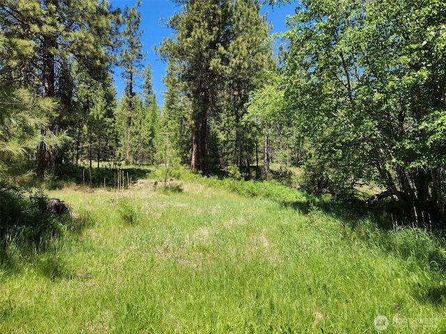 0 Wild Turkey Ln, Riverside, WA 98849