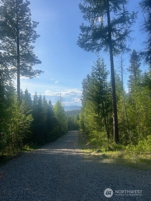 0 Wild Turkey Ln, Riverside, WA 98849
