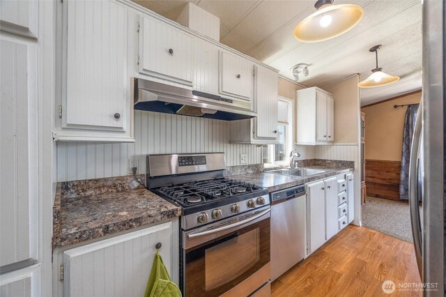 7515 Sunset Dr, Blaine, WA 98230 - kitchen with under cabinet range hood, appliances with stainless steel finishes, a sink, light wood finished floors, and dark countertops