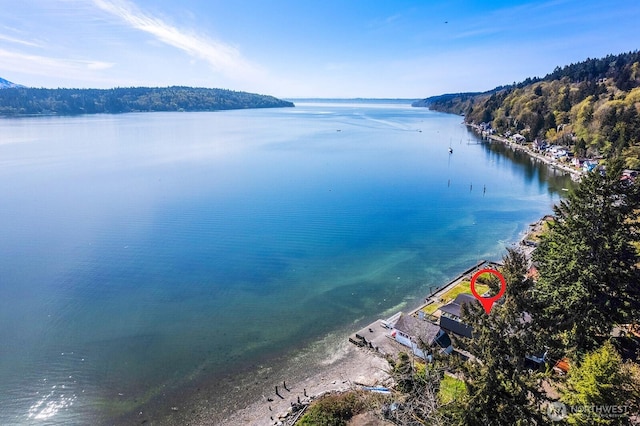 11613 SW Shawnee, Vashon, WA 98070 - water view