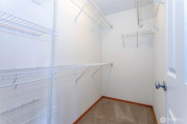 14808 26th Pl W Unit 2, Lynnwood, WA 98087 - walk in closet featuring carpet floors