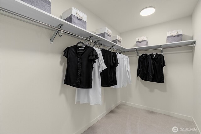 112F 2nd St S, Kirkland, WA 98033 - walk in closet with carpet flooring