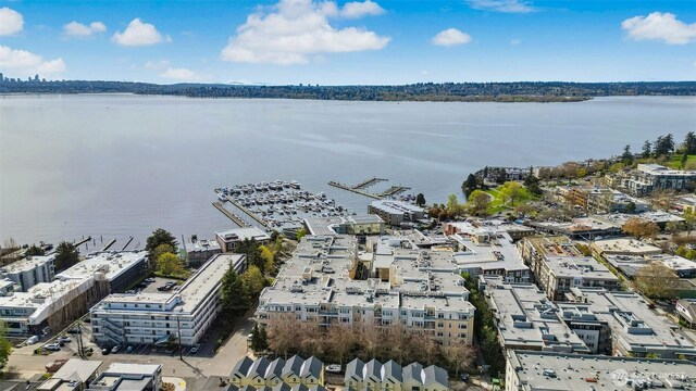 112F 2nd St S, Kirkland, WA 98033 - aerial view of a large body of water