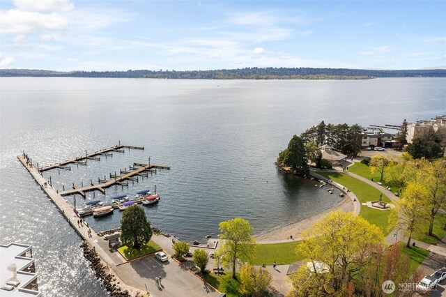 112F 2nd St S, Kirkland, WA 98033 - bird's eye view of a nearby body of water